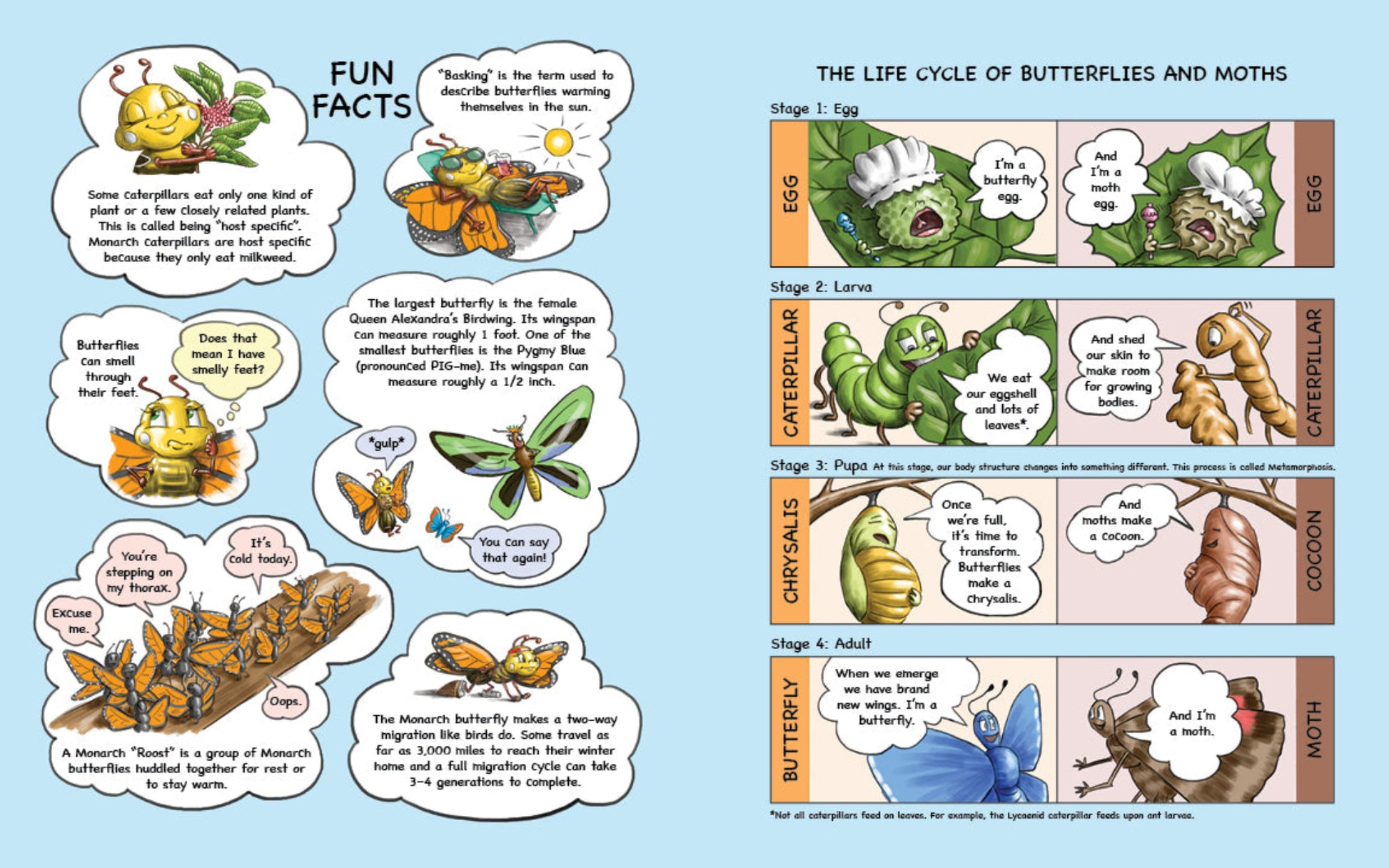 A sample page from "Kibble the Monarch Caterpillar Afraid to Get Wings" by Anita Gnan showing fun facts and an educational diagram of the life cycle of butterflies and moths.
